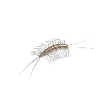 Centipede_White_400x400