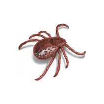 Tick_White_400x400